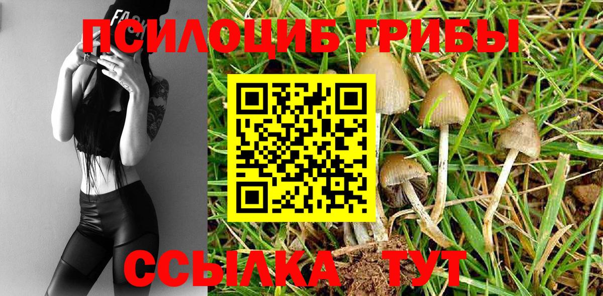 Псилоцибиновые грибы ЛСД  Псилоцибиновые грибы прущие грибы  Сочи  Вход с VPN 