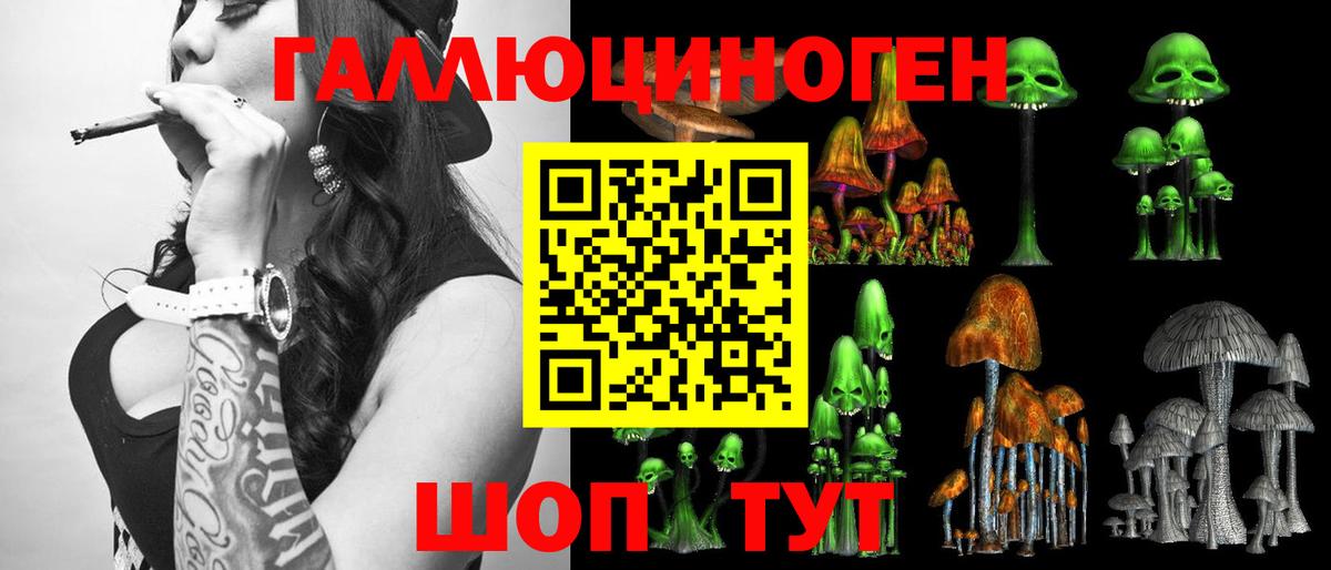 Псилоцибиновые грибы Psilocybine cubensis Сочи